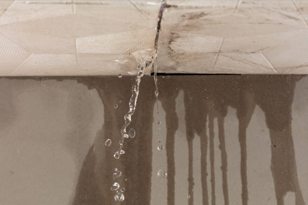 Professional Burst Pipe Cleanup technician working in Tigrett, TN